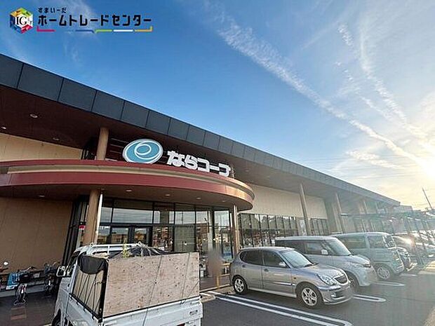 コープ七条（約800m）