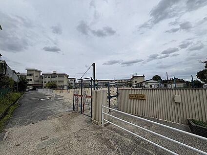 奈良市立鳥見小学校 810m(徒歩11分)