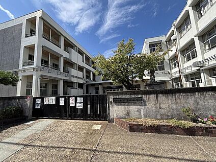 大和郡山市立筒井小学校 1300m(徒歩17分)