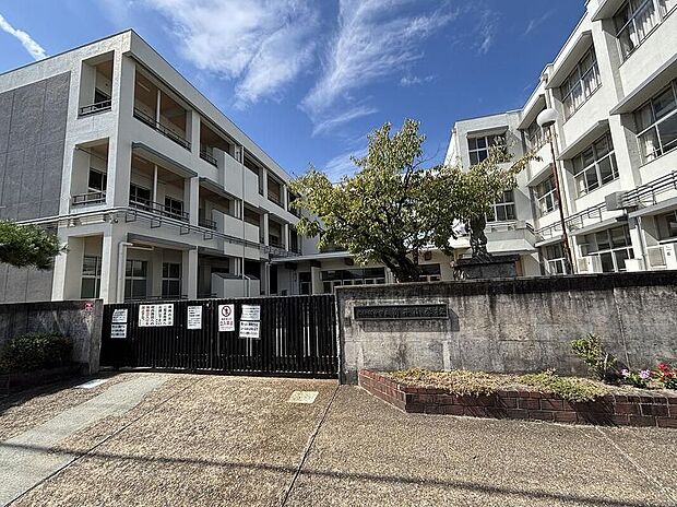 大和郡山市立筒井小学校（約1,300m）