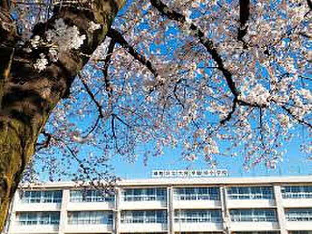 練馬区立大泉学園緑小学校(約617m)