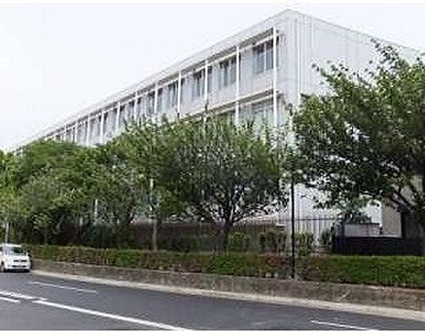 豊島区立明豊中学校（約343m）