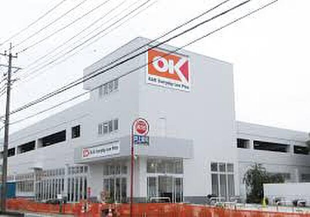 オーケー新座野火止店（約200m）