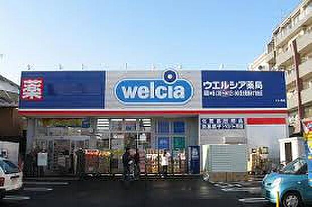 ウエルシア富士見東みずほ台店（約1,000m）