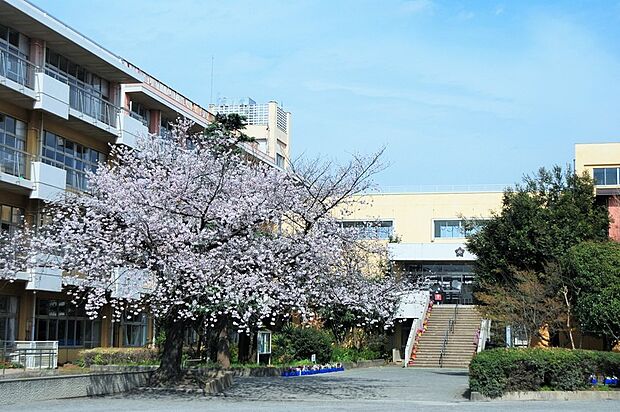 ふじみ野市立東原小学校(約1,600m)