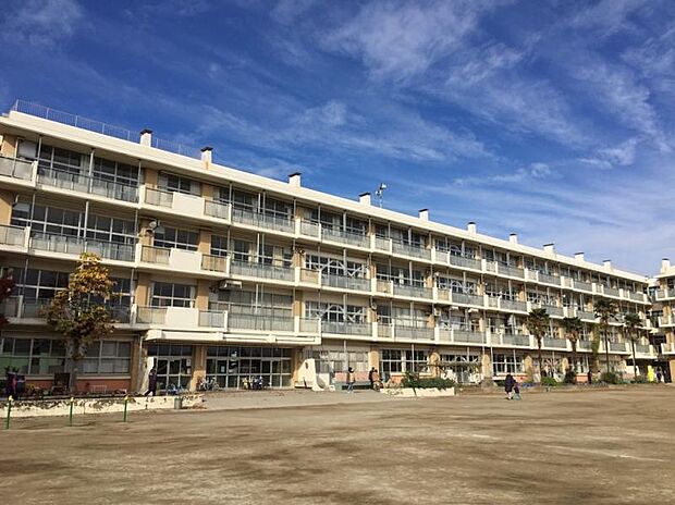 朝霞市立朝霞第六小学校（約300m）