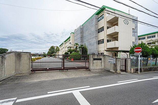 柏原小学校（約1,000m）