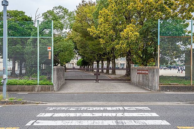 柏原中学校（約400m）