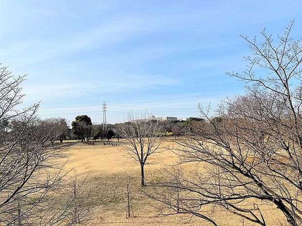 和光樹林公園（約1,040m）