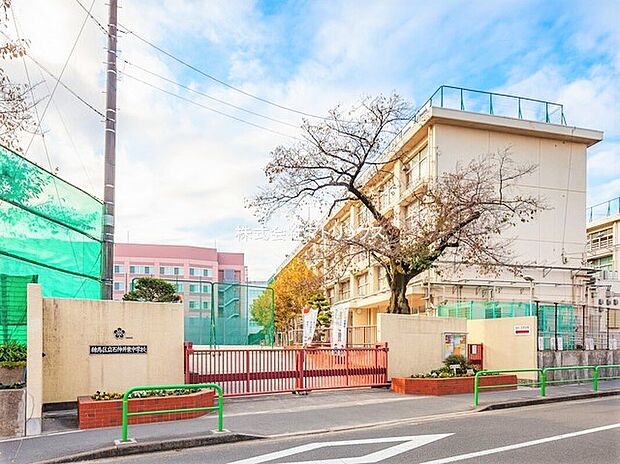 練馬区立石神井東中学校（約510m）