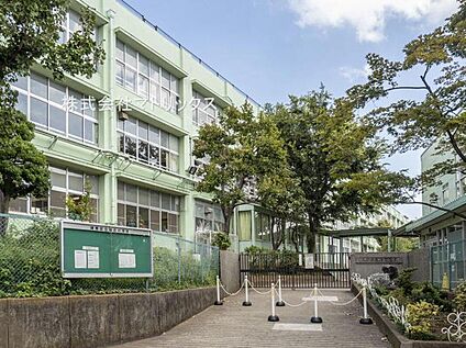 練馬区立旭丘小学校 347m(徒歩5分)