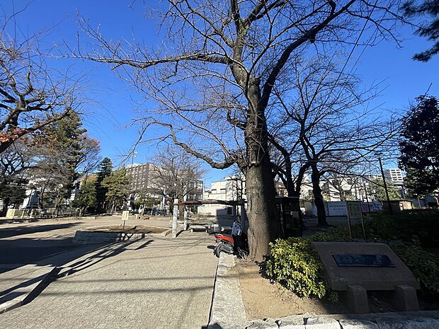 練馬区立北新井公園(約240m)