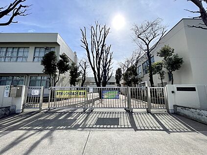 板橋区立高島第三中学校 599m(徒歩8分)