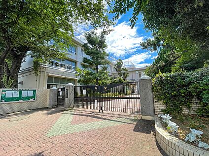 練馬区立開進第一中学校 1200m(徒歩15分)