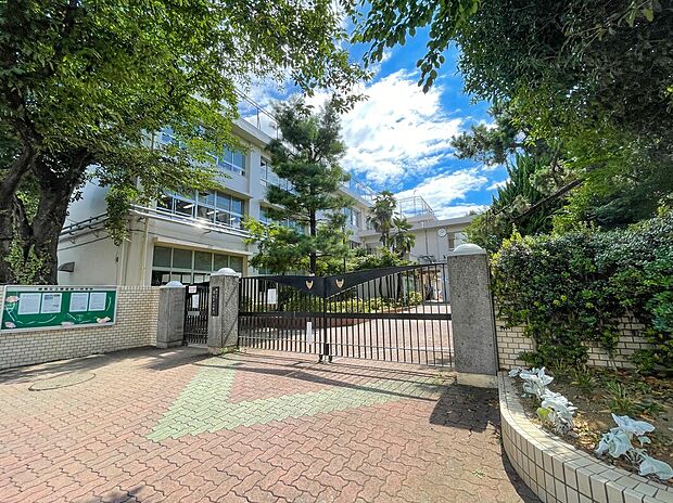 練馬区立開進第一中学校(約1,200m)