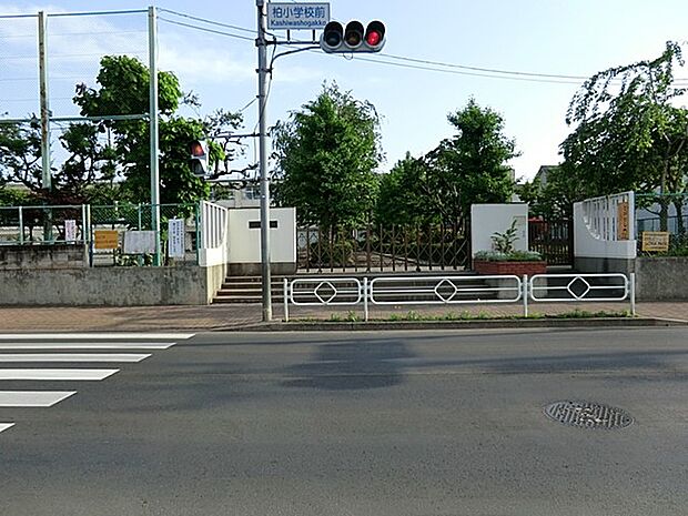 立川市立柏小学校(約1,500m・徒歩19分)