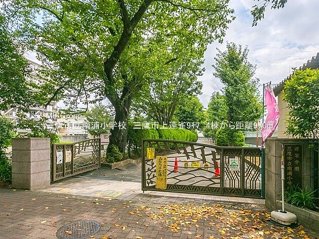 三鷹市立南浦小学校(約970m・徒歩13分)