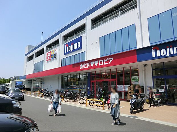 ロピア 川崎水沢店(約700m・徒歩9分)