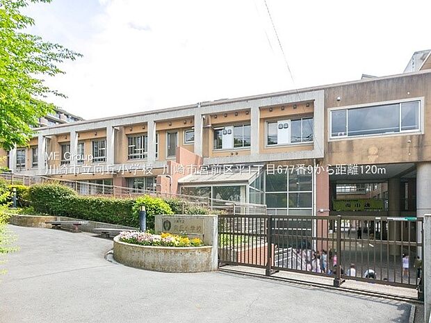  川崎市立向丘小学校（約120m・徒歩2分）