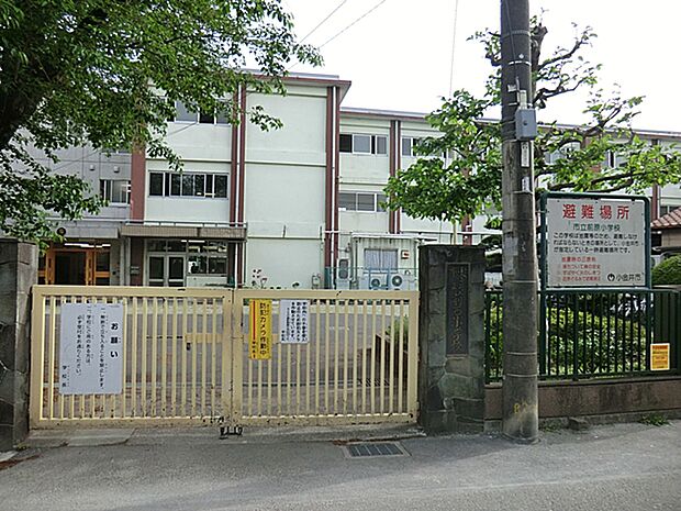 小金井市立前原小学校(約170m・徒歩3分)