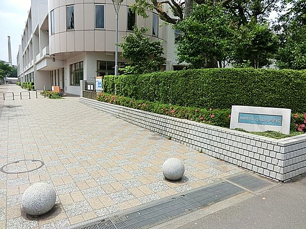 町田市立小山小学校(約1,600m・徒歩20分)