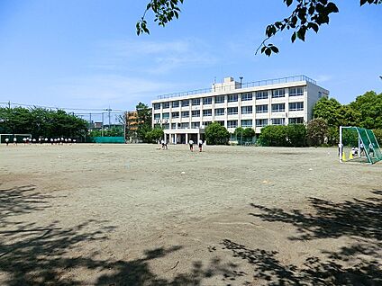 稲城市立第四中学校 1600m(20分)