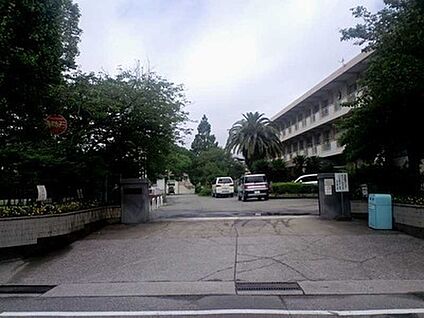 宮崎市立大淀小学校 280ｍ