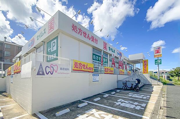 ドラッグセイムス青葉黒須田店（約720m）