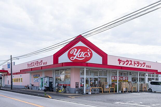 ヤックスドラッグ若松店（約750m）