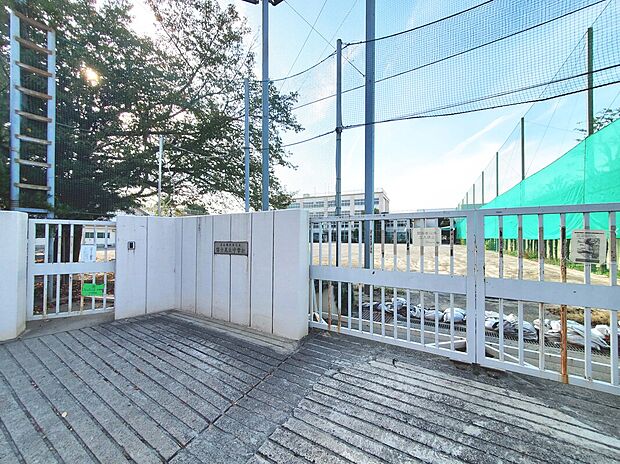 杉並区立富士見丘中学校（約1,100m）