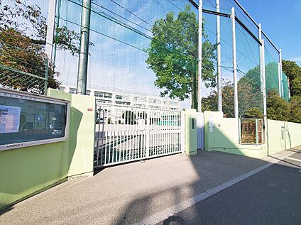 杉並区立荻窪中学校 279ｍ