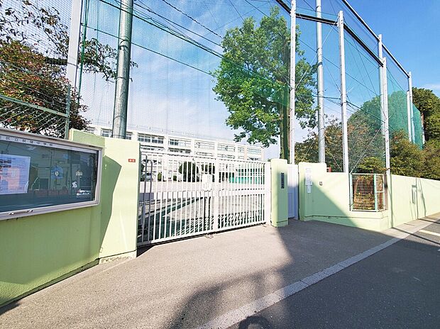 杉並区立荻窪中学校(約279m)