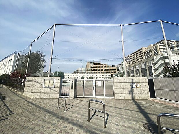 世田谷区立塚戸小学校(約856m)