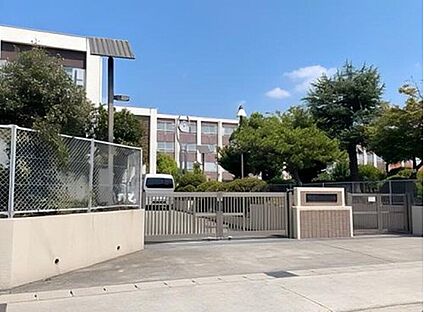 名古屋市立南陽小学校 800m(徒歩10分)