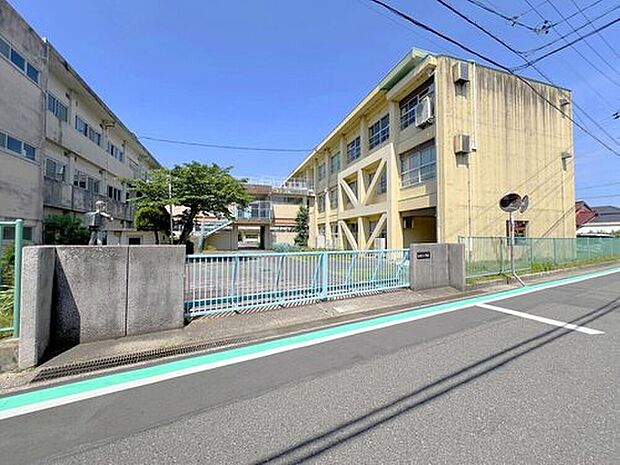 愛西市立佐屋小学校（約700m）