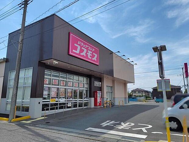 ディスカウントドラッグコスモス本庄けや木店(約790m)