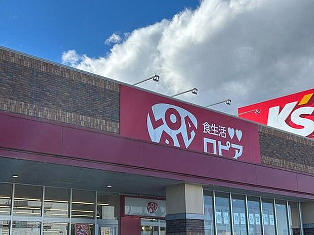 ロピア菖蒲フォレオ店(約850m)