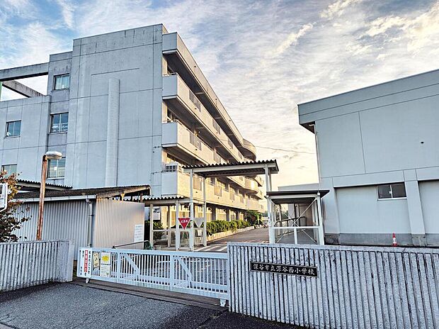 深谷市立深谷西小学校（約750m）