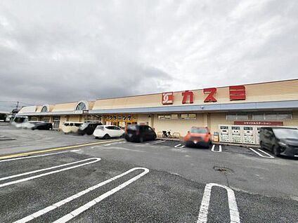カスミ花崎店 1800m(徒歩23分/車で4分)