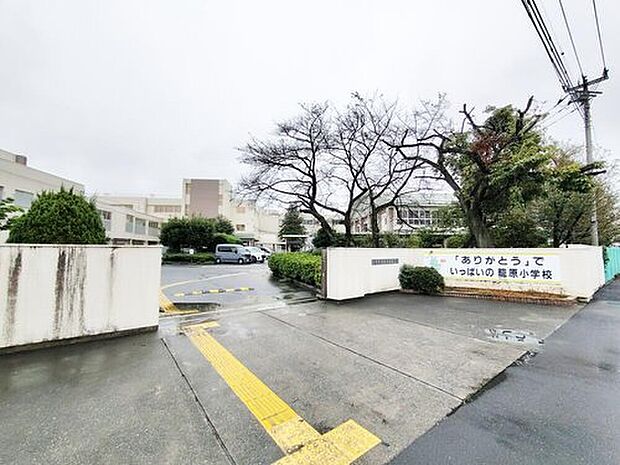 熊谷市立籠原小学校(約110m)