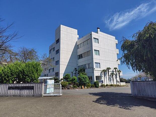 深谷市立上柴西小学校(約780m)