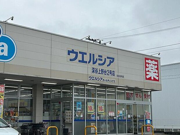 ウエルシア深谷上野台2号店(約800m)
