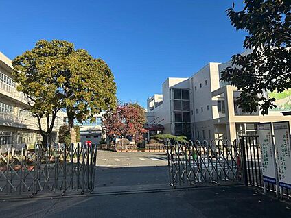 本庄市立本庄南小学校 550ｍ(徒歩7分)