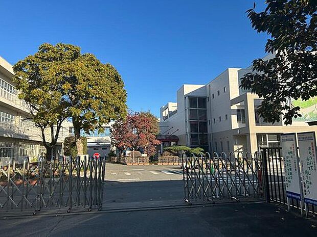 本庄市立本庄南小学校(約550m)