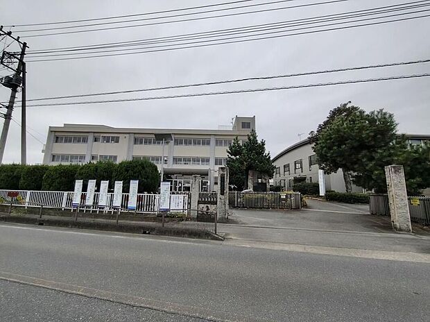本庄市立児玉小学校（約350m）