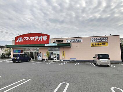 クスリのアオキ上柴東店 620ｍ(徒歩8分)