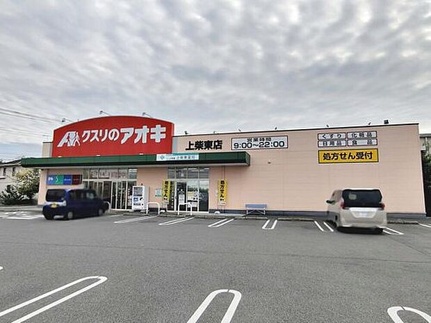 クスリのアオキ上柴東店（約620m）