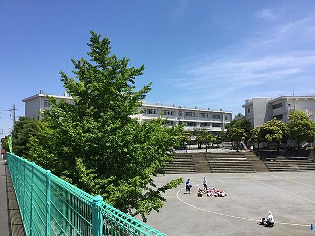 川崎市立白幡台小学校（約530m）