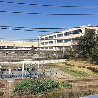 川崎市立柿生小学校 650ｍ
