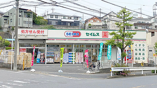 ドラッグセイムス川崎梶ケ谷店（約390m）